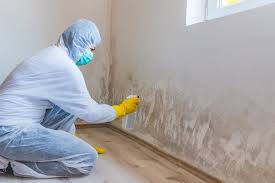 Best Mold Damage Restoration  in Mauston, WI